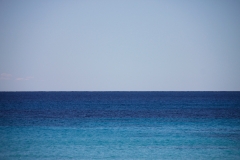 _MG_4957.JPG